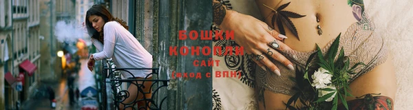 крисы Бугульма