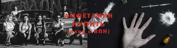 крисы Бугульма
