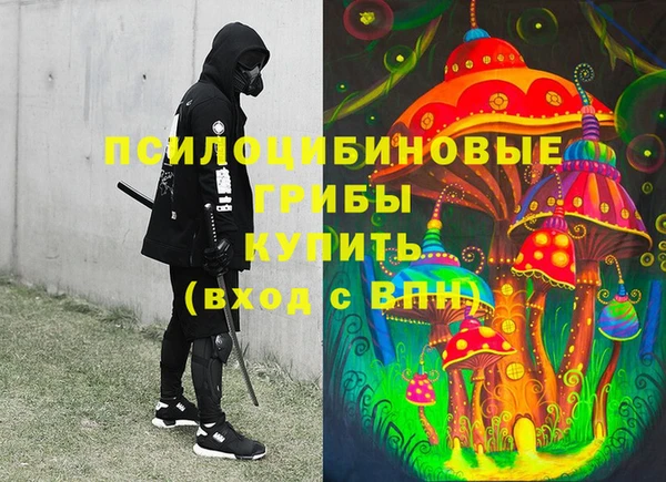 экстази Богородицк