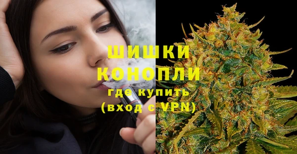 прущие грибы Бронницы