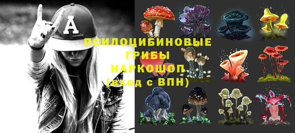 прущие грибы Бронницы