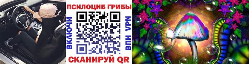 Галлюциногенные грибы Magic Shrooms  Кимовск 